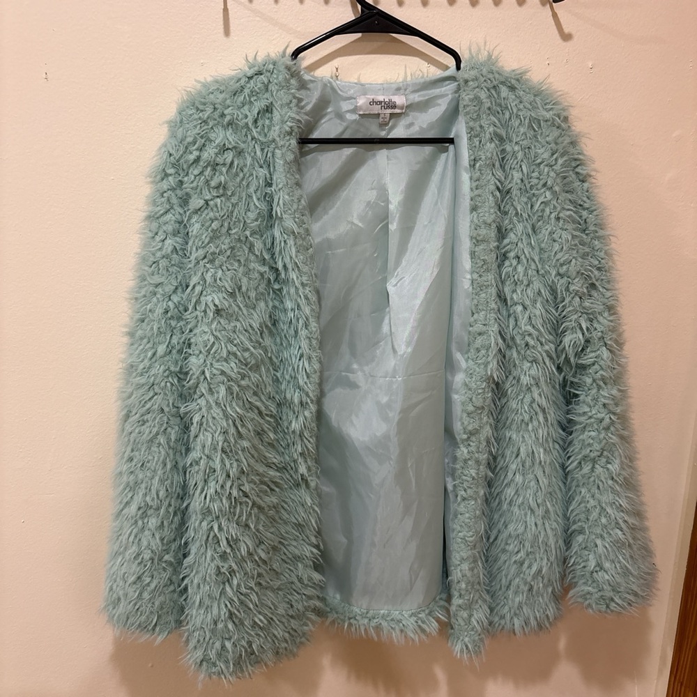 Chicwish Mint Green Faux Fur Jacket